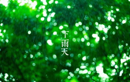 问候下雨天早安的简短句子