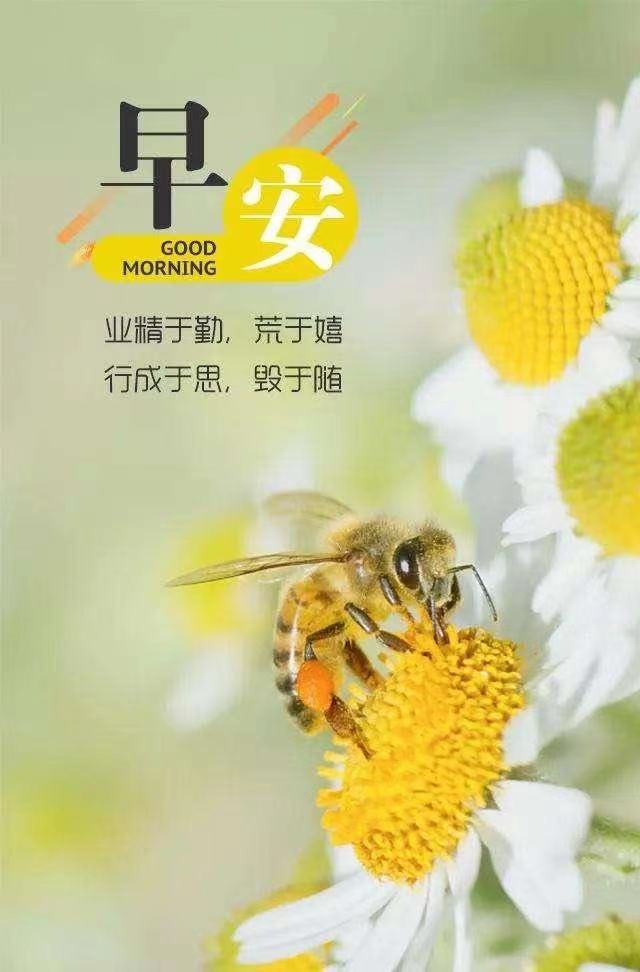 早安暖心励志格言