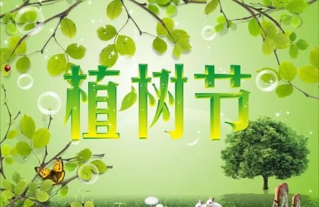 关于3月12日植树节的宣传标语