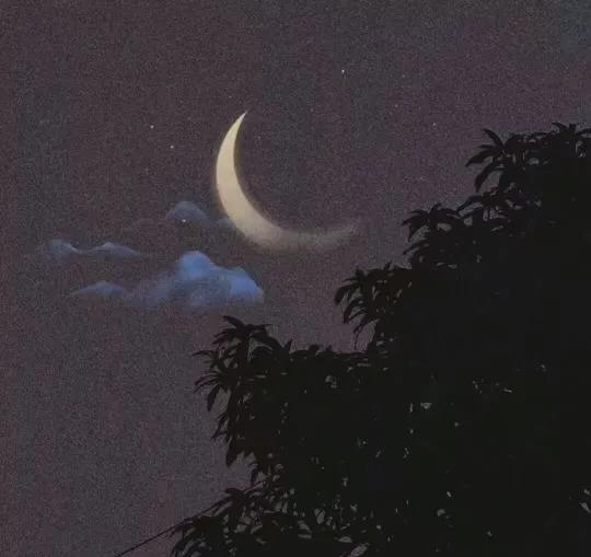 夜晚看月亮的心情说说
