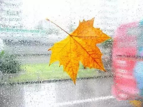秋天下雨的句子说说心情